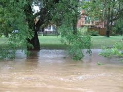 Flooding Image