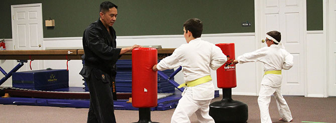 Karate Punching Bags