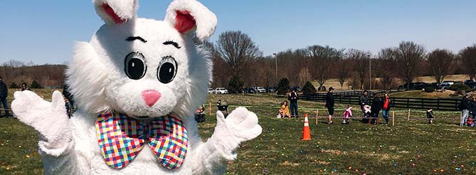 Easter Bunny with Two Hands Waving