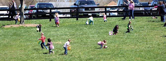 Kids Collecting Eggs in Field