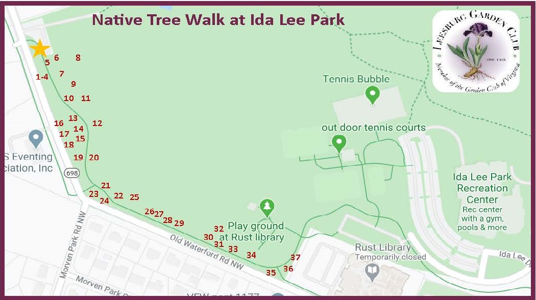 Native Tree Walk Map