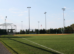 2020 baseball-field-with-grass-i