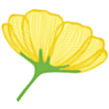 yellow flower icon