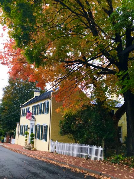 Fall 2019 Historic Leesburg Wirt Street NW