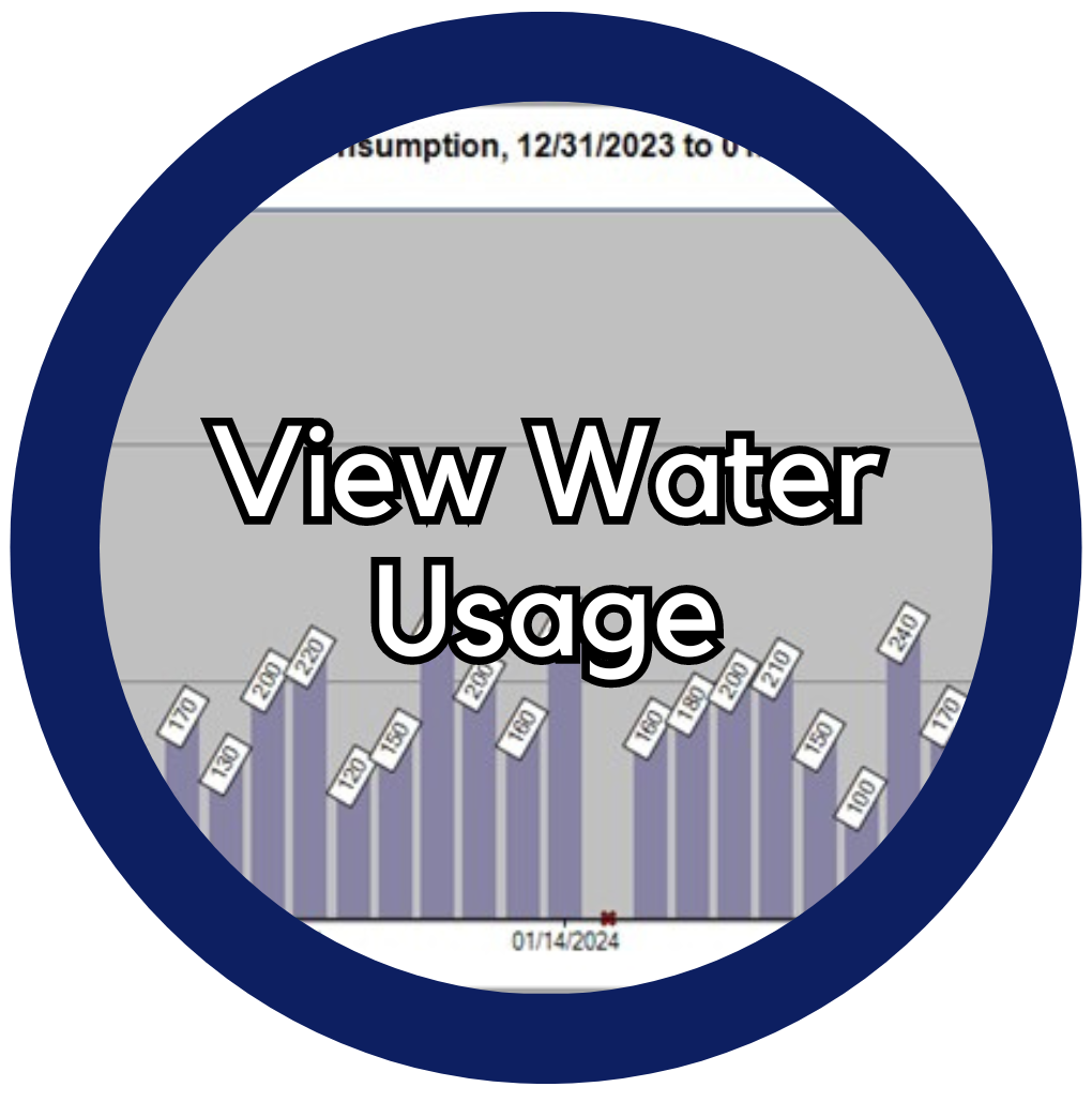 View Water Usage Widget