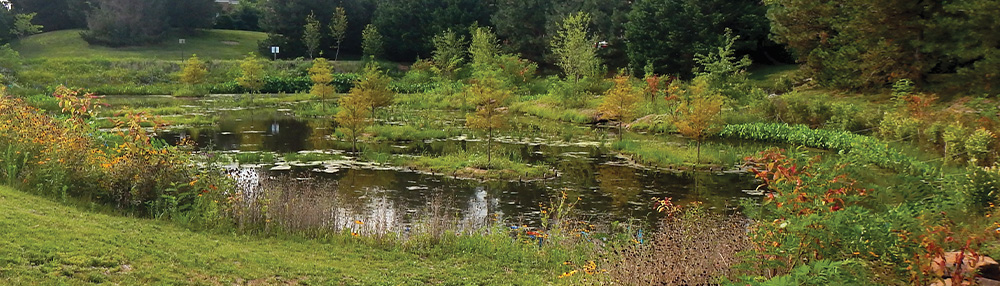 fairfacts-wet-and-dry-ponds