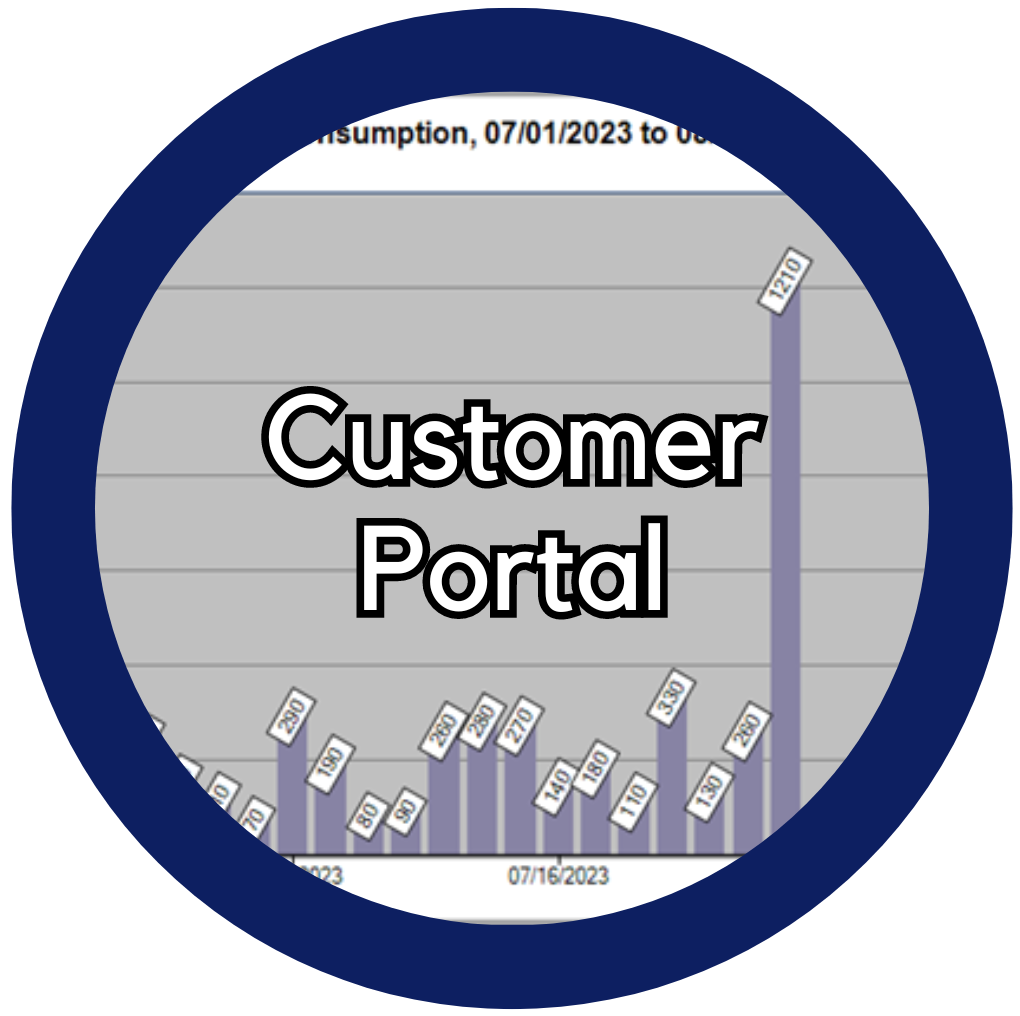 Customer Portal Widget