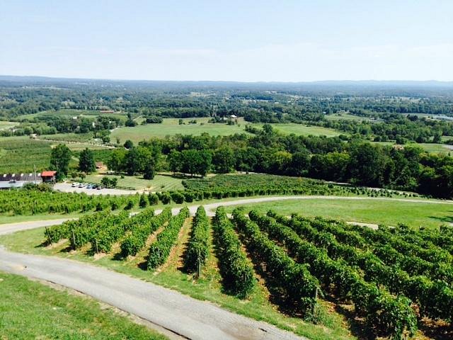 bluemont-vineyard