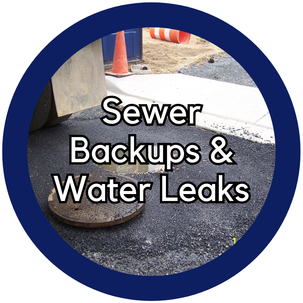 Sewer Back Ups Widget