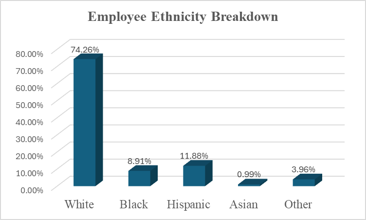 Employee Ethnicity Breakdown