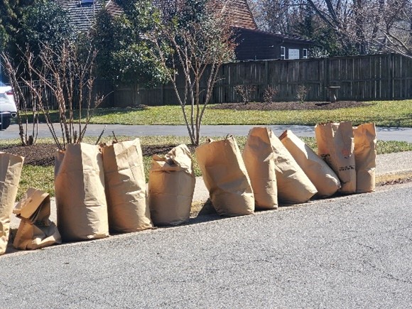 bagged yard waste