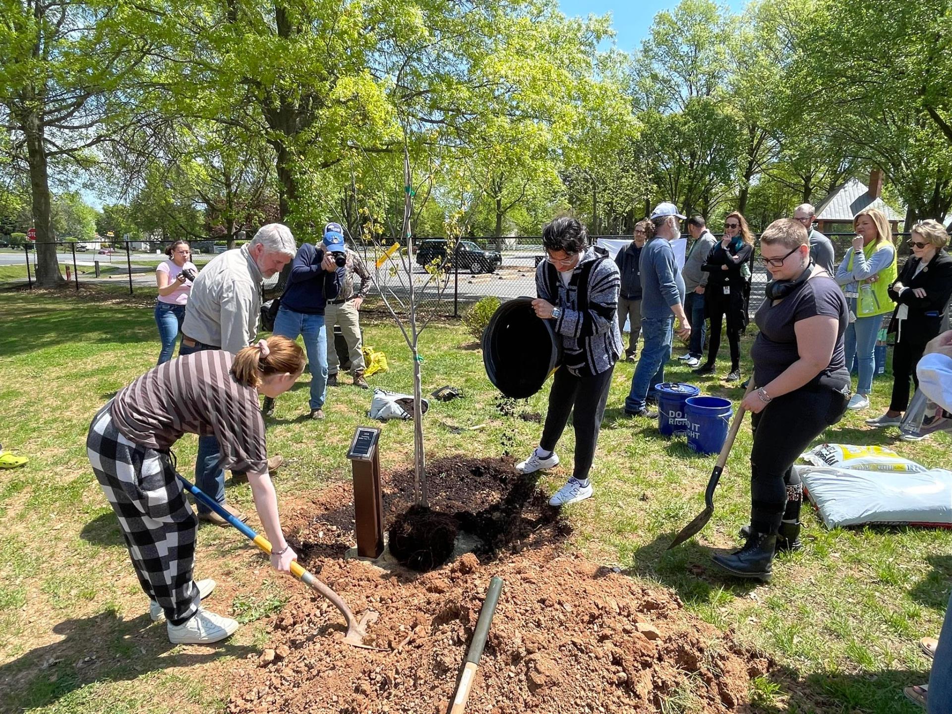 Tree planting at The North Star