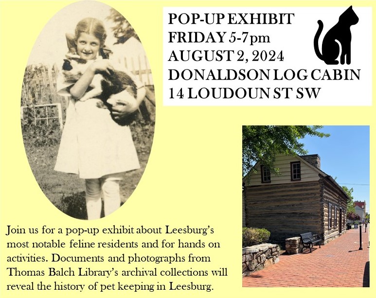 History of Cats in Leesburg