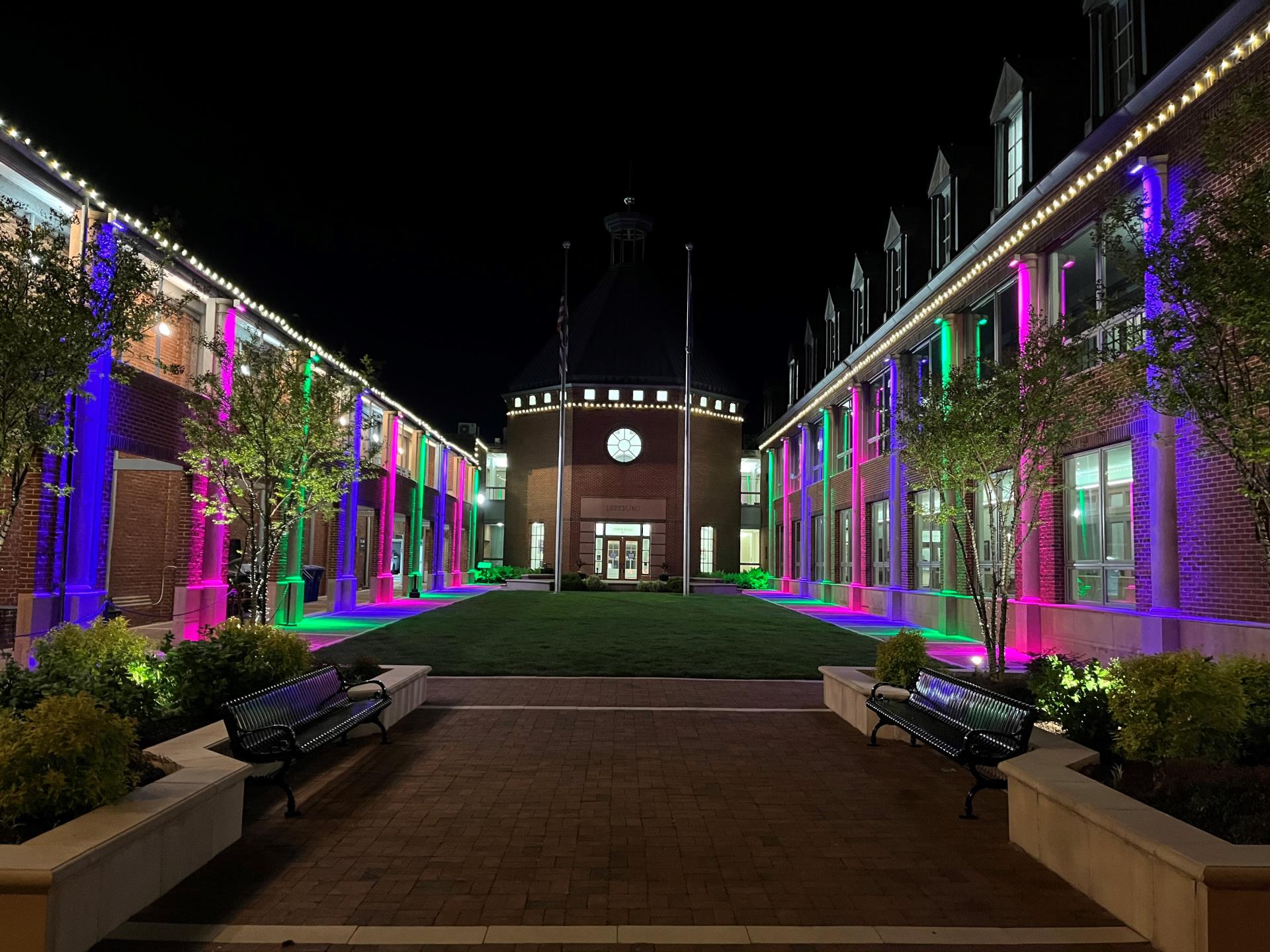 Awareness Display Flower and Garden Town Green Lights