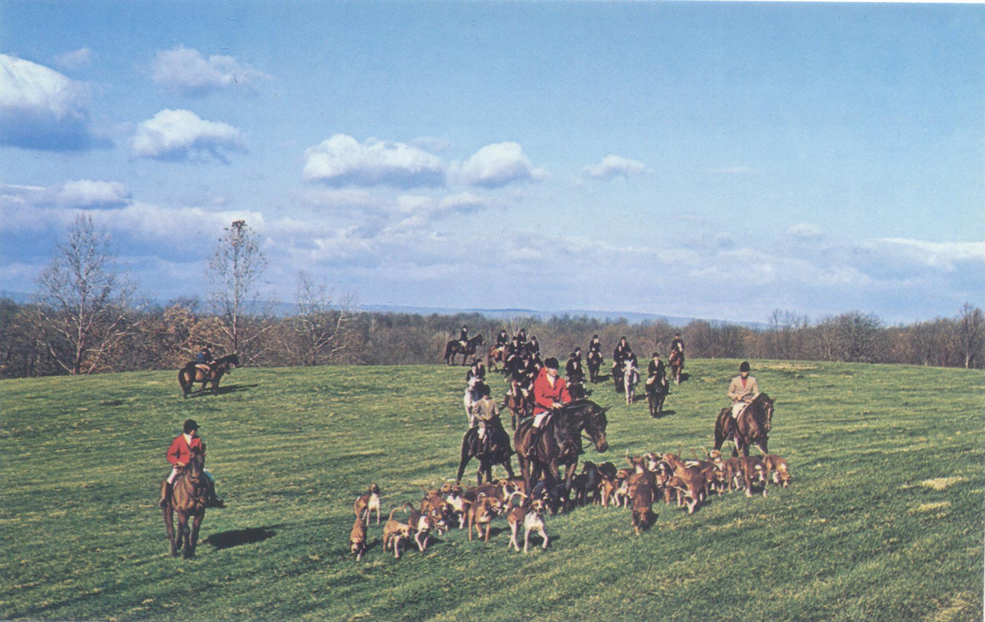 Historic Image of Fox Hunting