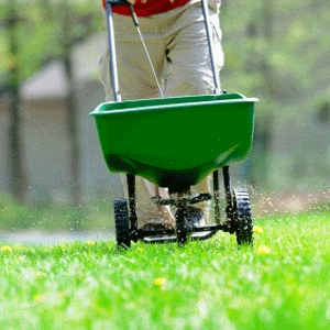 Spreading Fertilizer