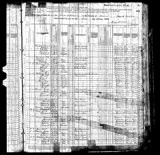 leesburg 1880 census